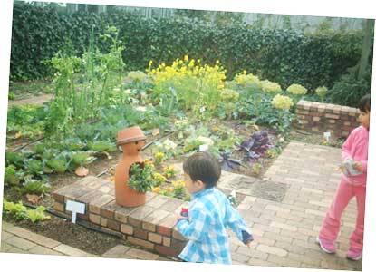 キッチンガーデン