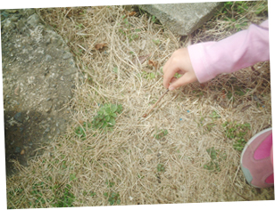 ガーデン キッズ