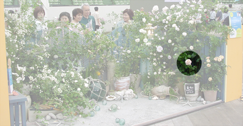 フランス　メイアン　アンドレ・ル・ノートル