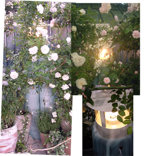 ���[�t������@�͌^