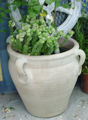 �`�F�j�W�A���e���R�b�^